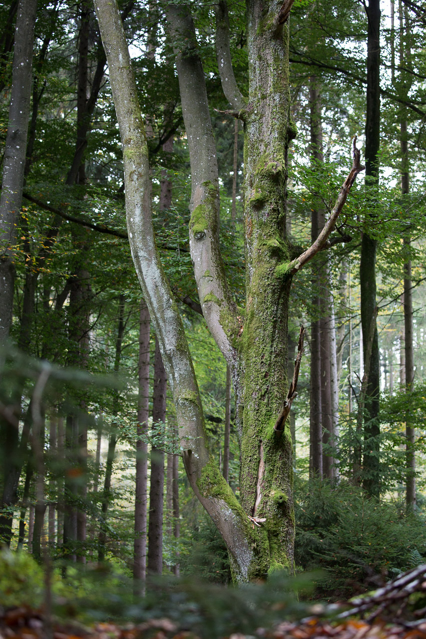 20231014100727 3K6A2262